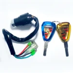 70cc Ignition Switch with Computerized Fancy Keys - Image 3